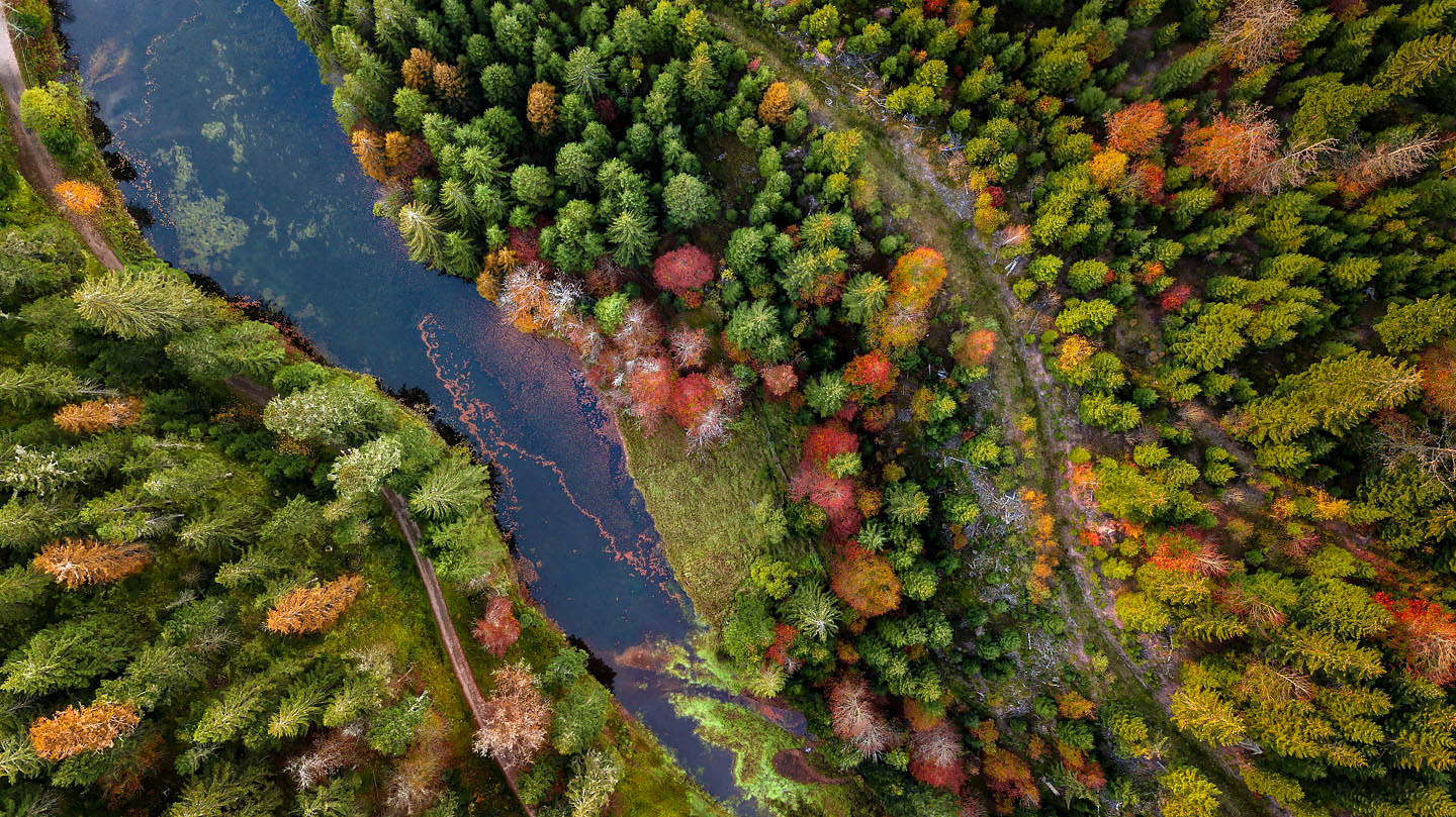 Photographie de paysage par drone - Hautes Vosges