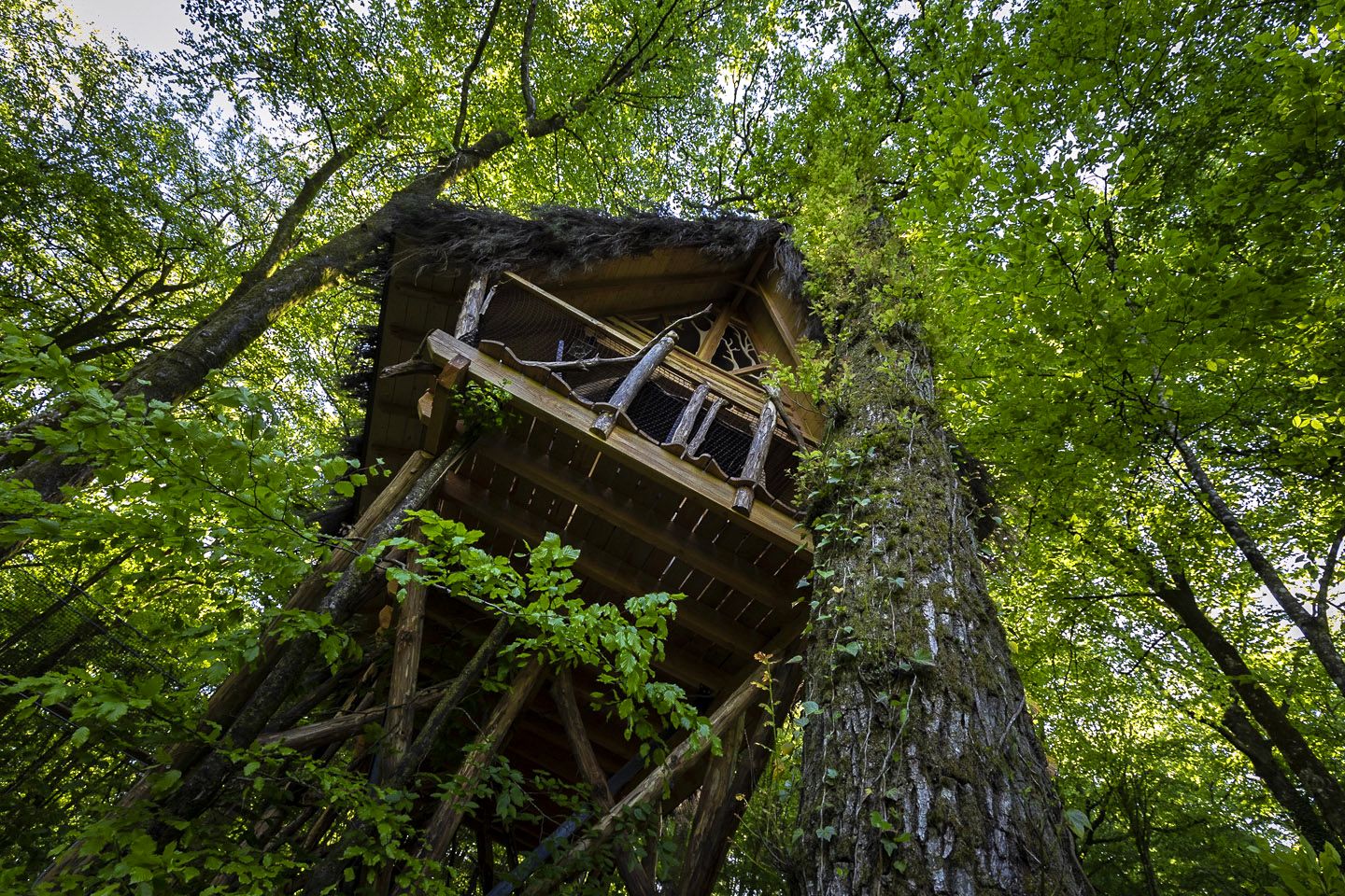 L'Arbre à Cabane, Hébergement insolite - Guyonvelle